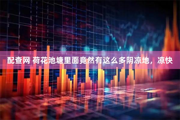配查网 荷花池塘里面竟然有这么多阴凉地，凉快