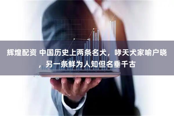 辉煌配资 中国历史上两条名犬，哮天犬家喻户晓，另一条鲜为人知但名垂千古