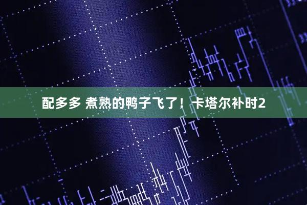 配多多 煮熟的鸭子飞了！卡塔尔补时2