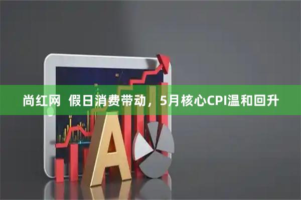 尚红网  假日消费带动，5月核心CPI温和回升