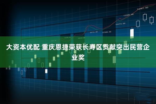 大资本优配 重庆恩捷荣获长寿区贡献突出民营企业奖
