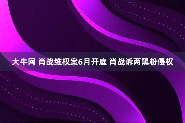 大牛网 肖战维权案6月开庭 肖战诉两黑粉侵权