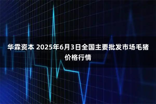 华霖资本 2025年6月3日全国主要批发市场毛猪价格行情