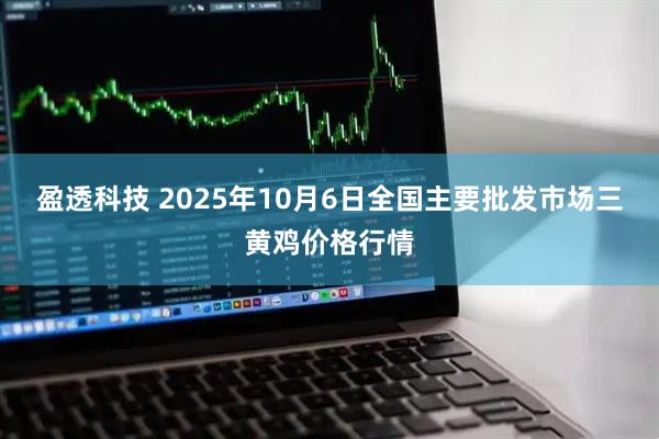 盈透科技 2025年10月6日全国主要批发市场三黄鸡价格行情