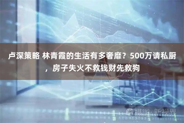 卢深策略 林青霞的生活有多奢靡？500万请私厨，房子失火不救钱财先救狗