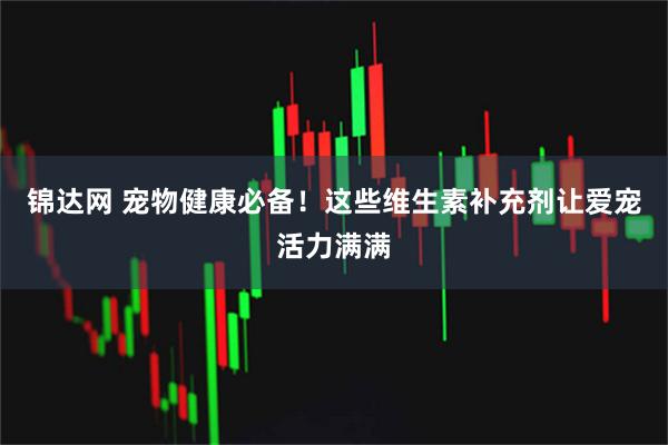 锦达网 宠物健康必备！这些维生素补充剂让爱宠活力满满